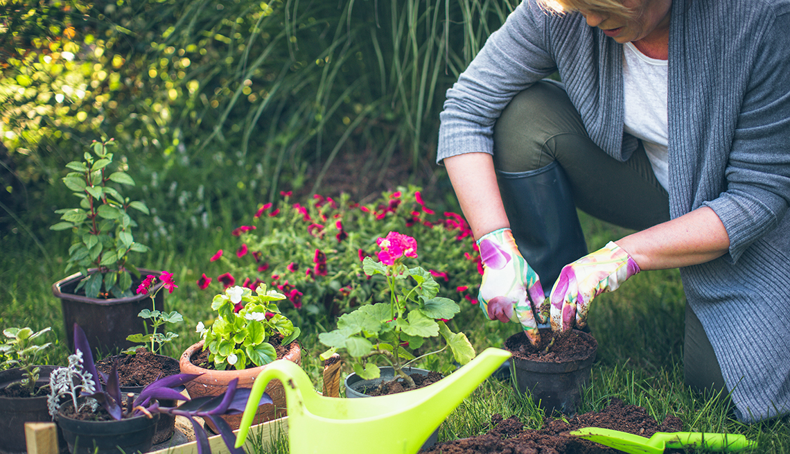 Atraskite sodininkystės naudą sveikatai ir protui